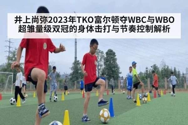 井上尚弥2023年TKO富尔顿夺WBC与WBO超雏量级双冠的身体击打与节奏控制解析